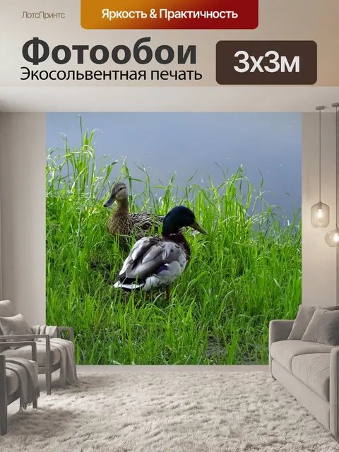 Фотообои Лужайка
