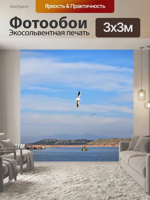 Фотообои Птица