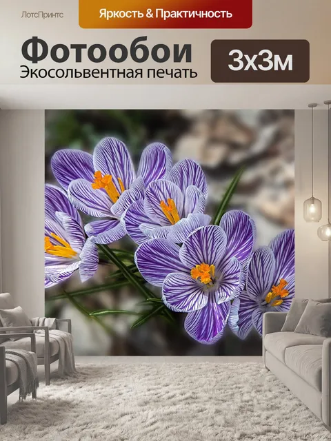 Фотообои Цветы