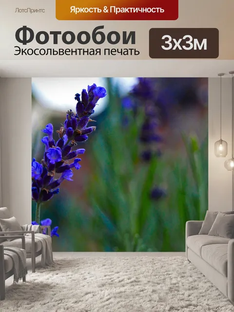 Фотообои Лаванда