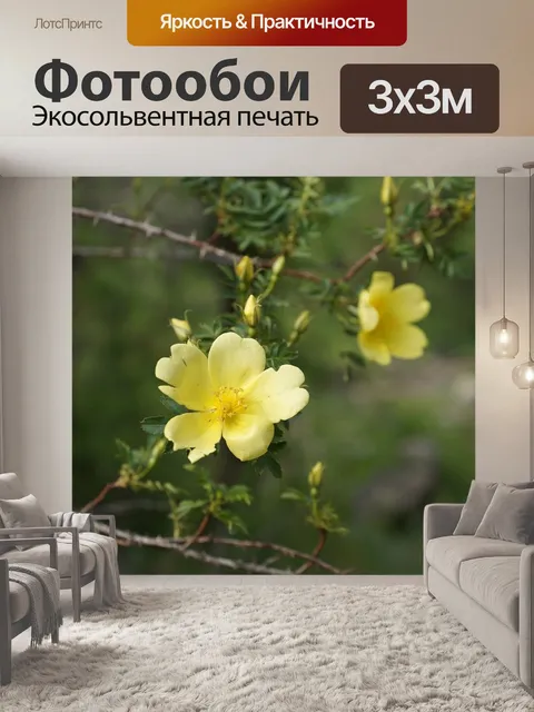 Фотообои Цветы