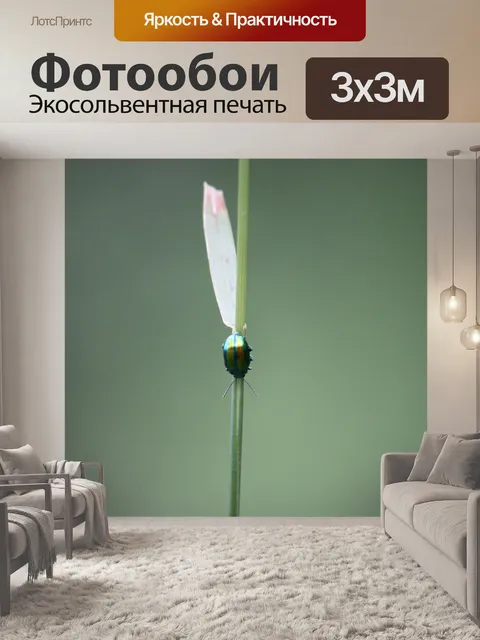 Фотообои Цветы