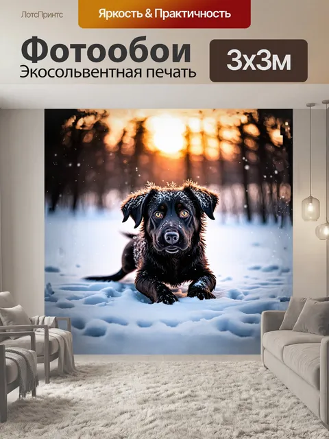 Фотообои собака с черной шерстью грациозно занятией на белом снежном фоне, ее блестящие глаза отражают зимний свет