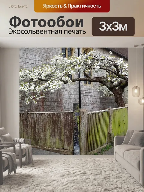 Фотообои Белое цветущее вишневое дерево