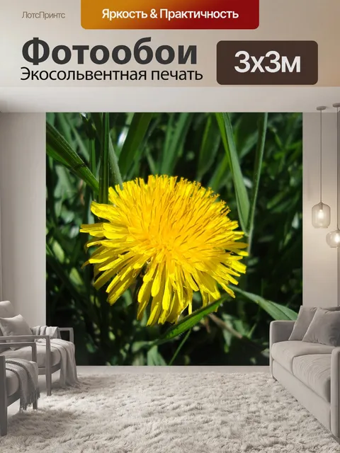 Фотообои Луг