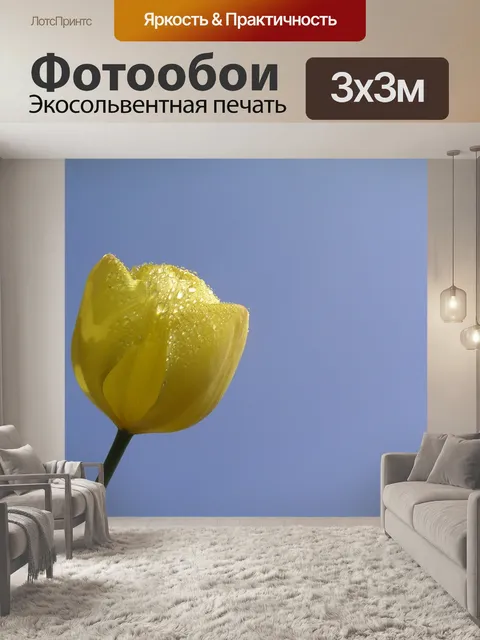 Фотообои Тюльпаны