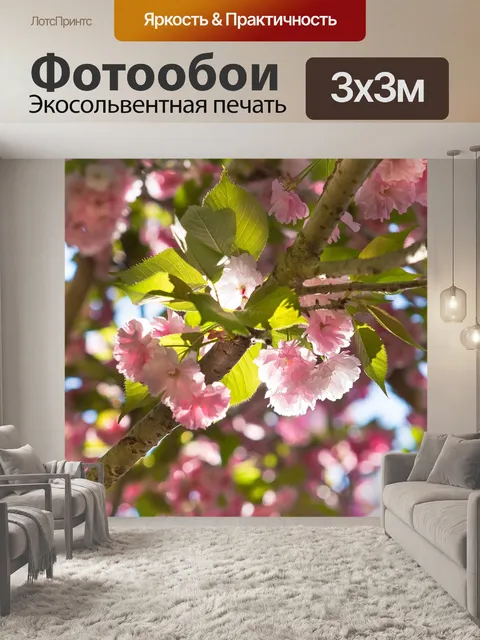 Фотообои Сакура