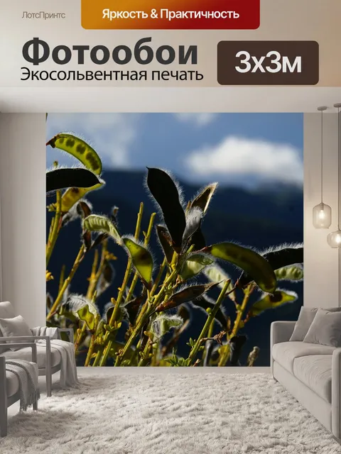 Фотообои Природа