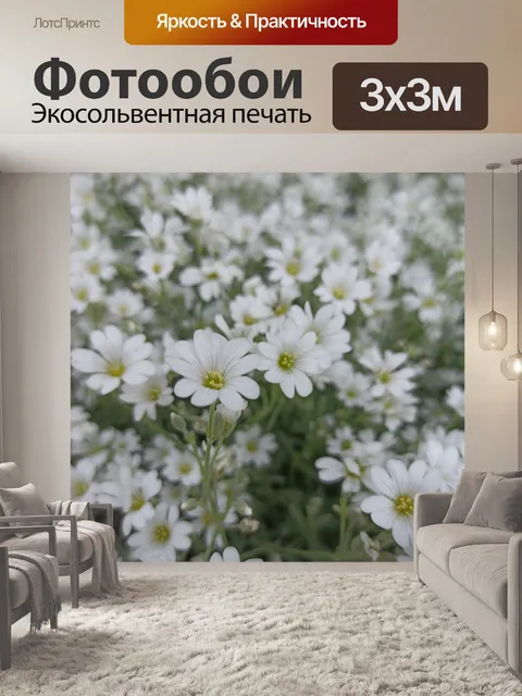 Фотообои Ромашки