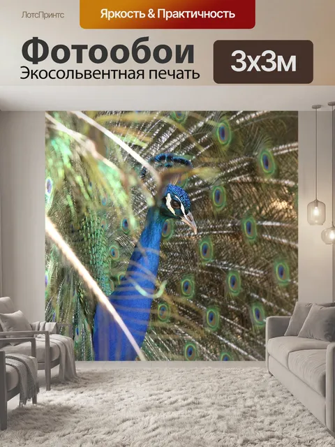 Фотообои Птица