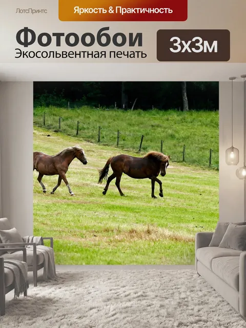 Фотообои Лошадь