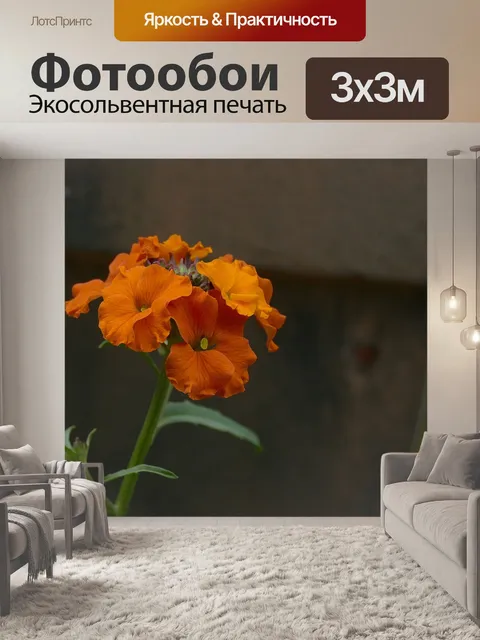 Фотообои Золотой лак