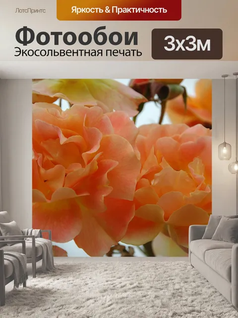 Фотообои Благородная роза