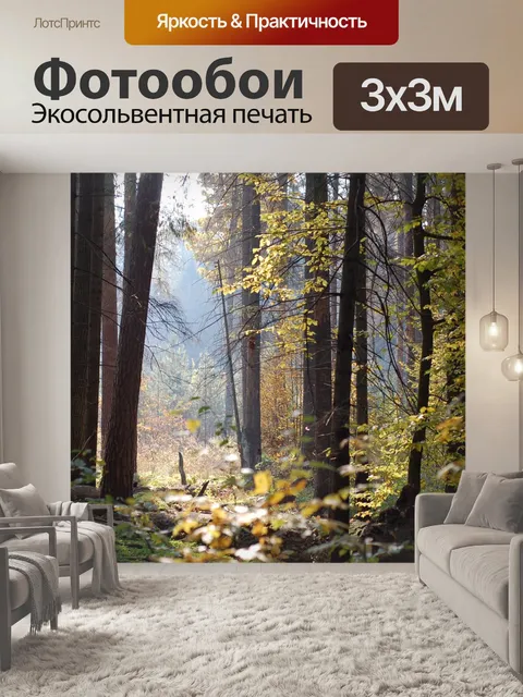 Фотообои Лес
