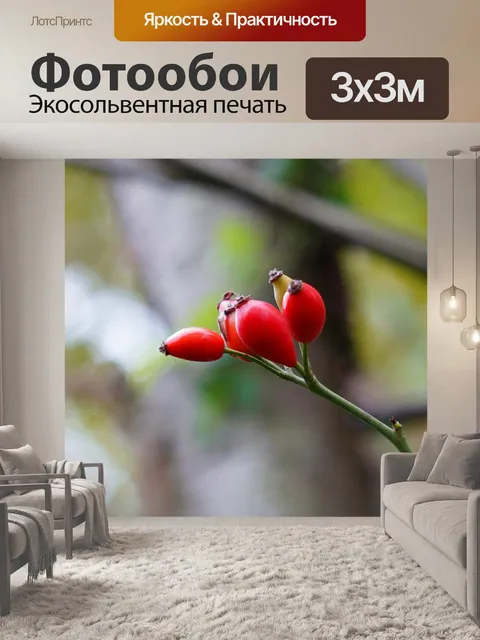 Фотообои Природа