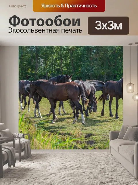 Фотообои Лошади