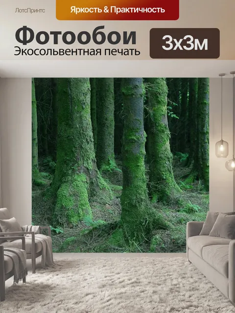 Фотообои Лес