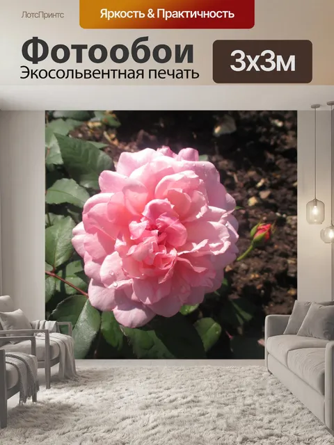 Фотообои Розы