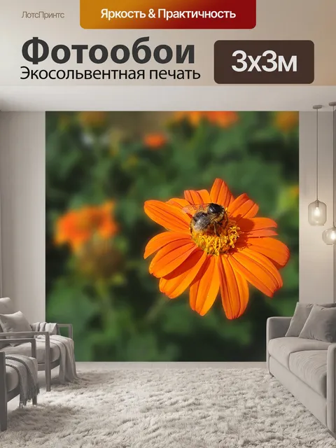 Фотообои Flower