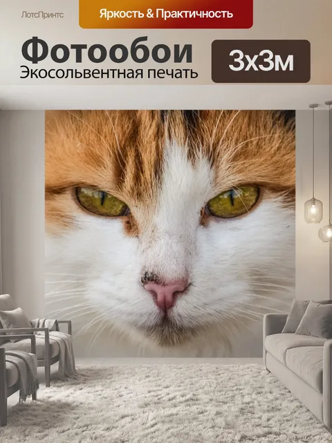 Фотообои Милый