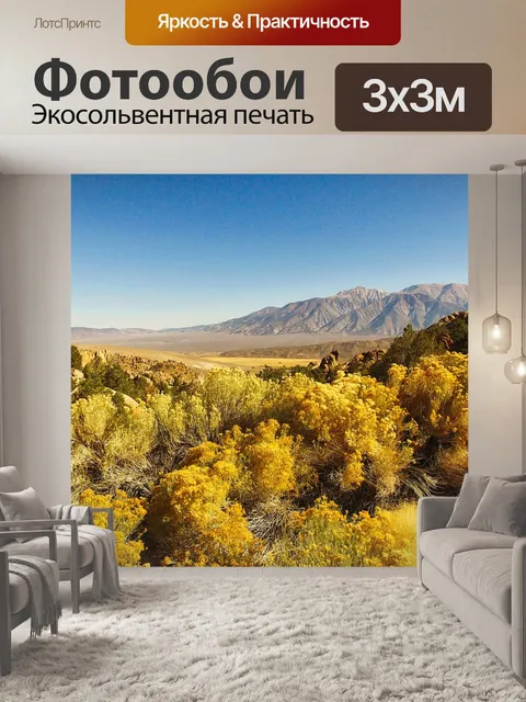 Фотообои Панорама