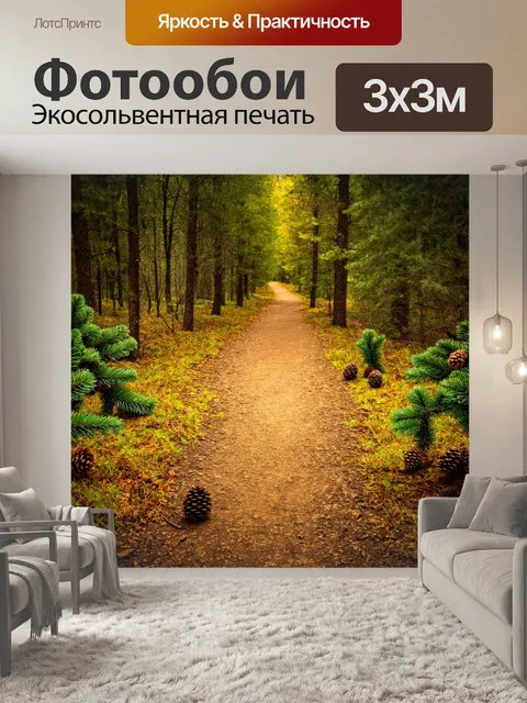Фотообои лес с аллеей, выложенной шишками и листьями