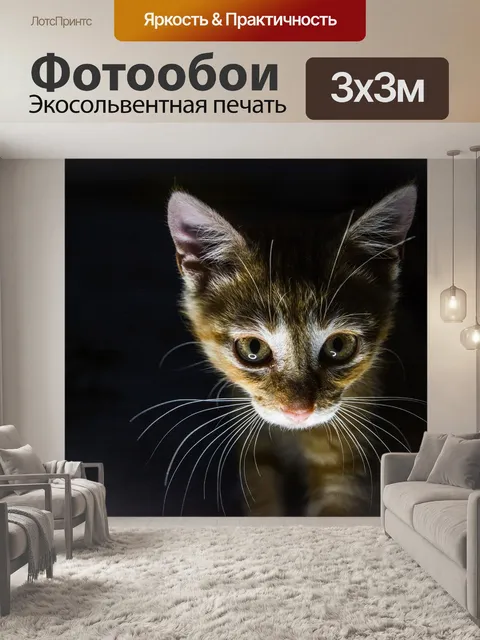Фотообои Кошка