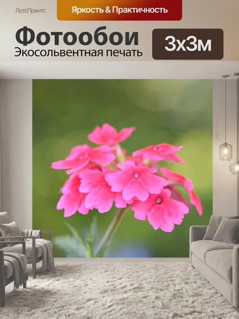 Фотообои Цветы