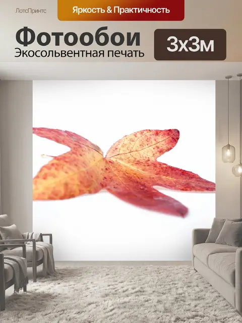 Фотообои Лист