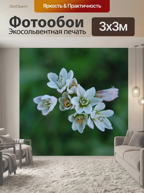 Фотообои Цветы