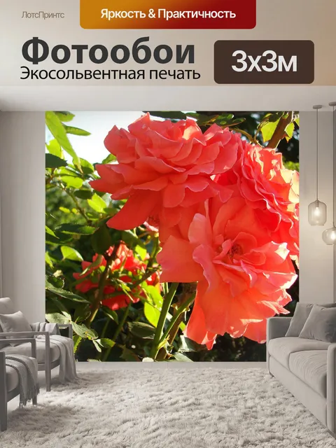 Фотообои Розы