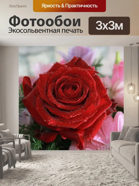 Фотообои Роза