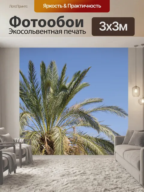Фотообои Текстуры пальм