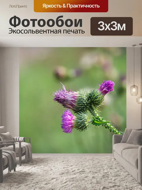 Фотообои Одуванчик