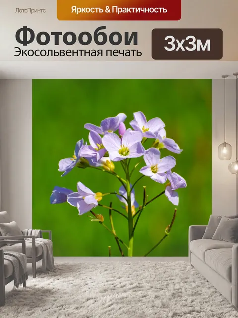 Фотообои цветок