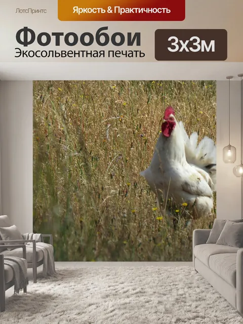 Фотообои Галло