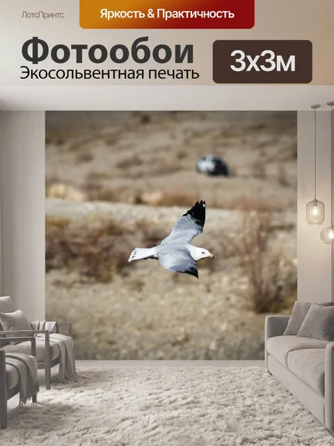 Фотообои Птица