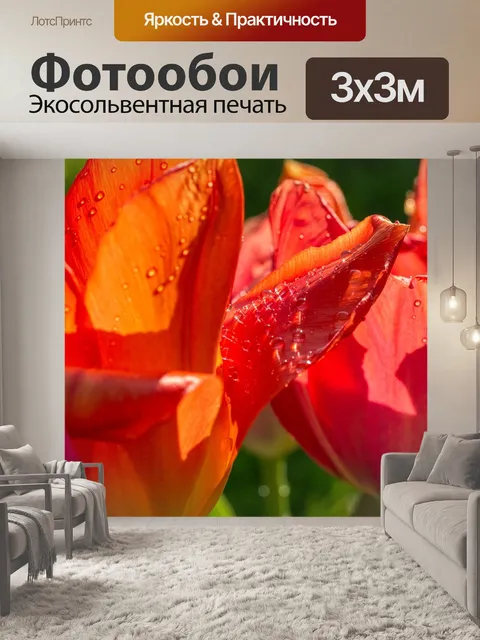 Фотообои Тюльпаны