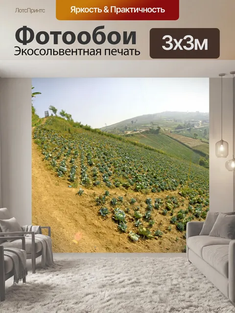 Фотообои Красивые горные пейзажи в Phutabberk