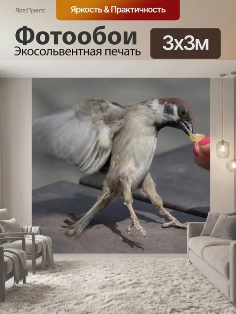 Фотообои Птица