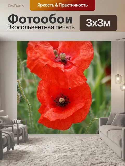 Фотообои Маки