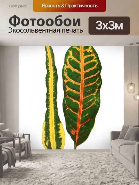Фотообои Листва лист растение прозрачный