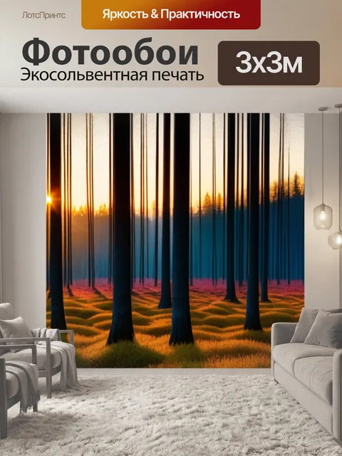 Фотообои лес из лиственниц, захваченный закатом