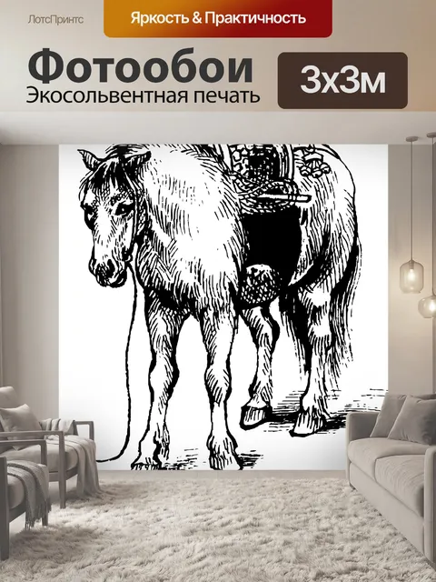Фотообои лошадь