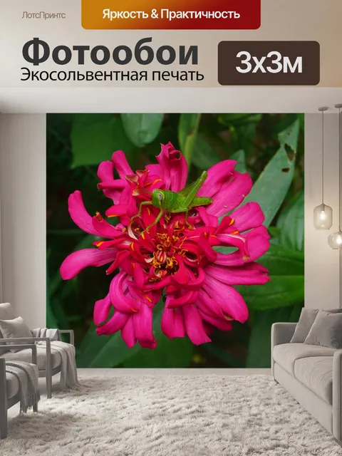 Фотообои Цветок