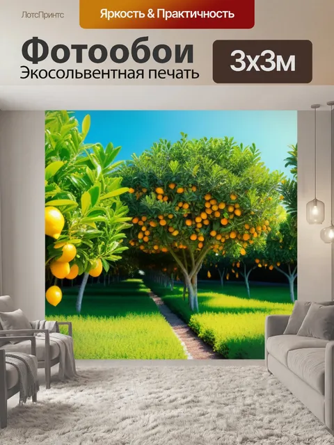 Фотообои апельсиновые и лимонные деревья в саду