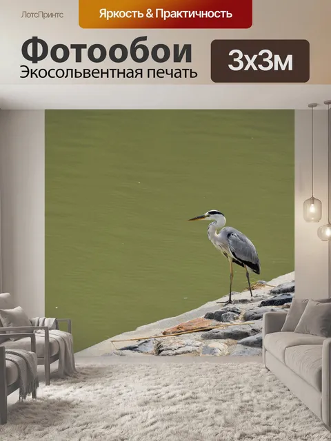 Фотообои Птица