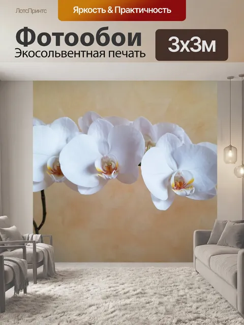 Фотообои Орхидеи