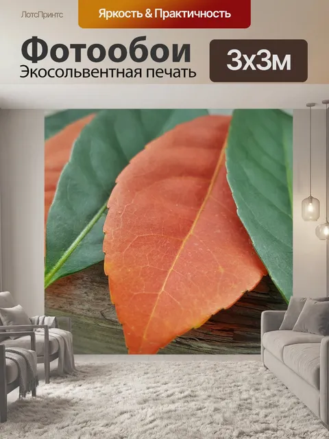 Фотообои Листья