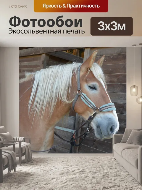 Фотообои Лошадь